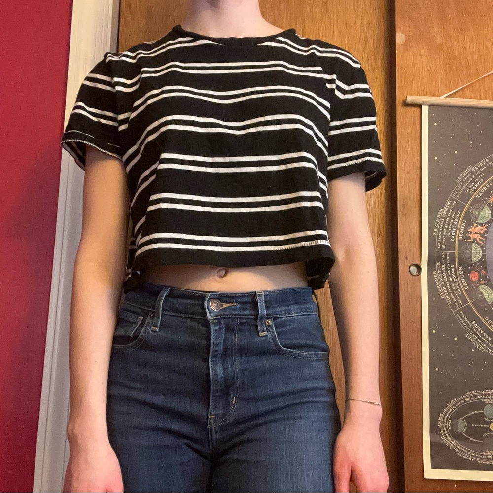 cropped tee shirt